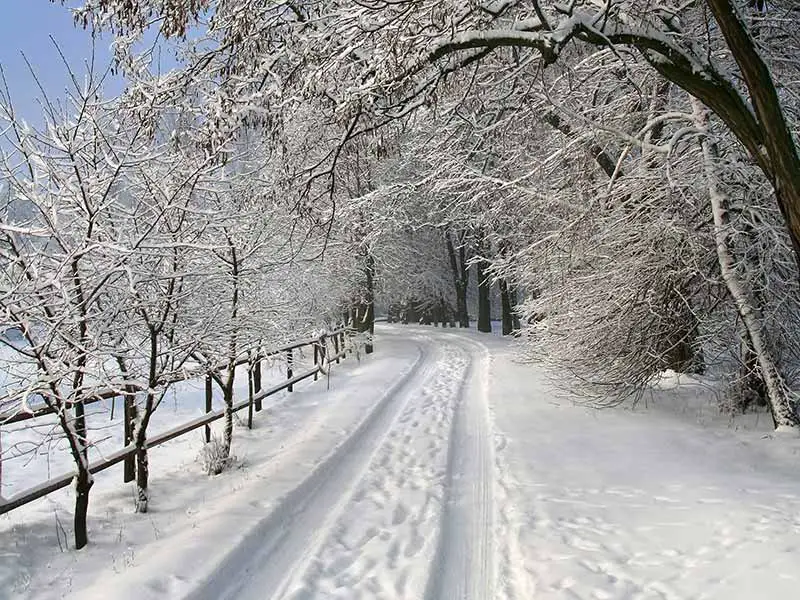 snow covered road