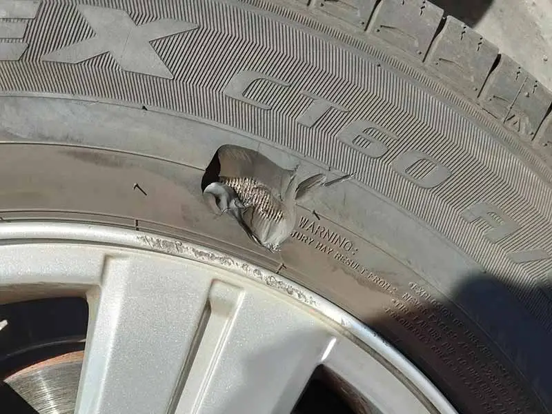 gash in tire but not losing air