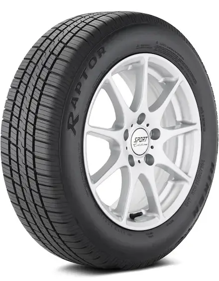 Riken Raptor HR tire