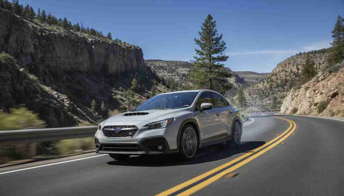 With excellent dry traction, the Pirelli P Zero AS Plus 3 delivers confident handling on any paved surface.